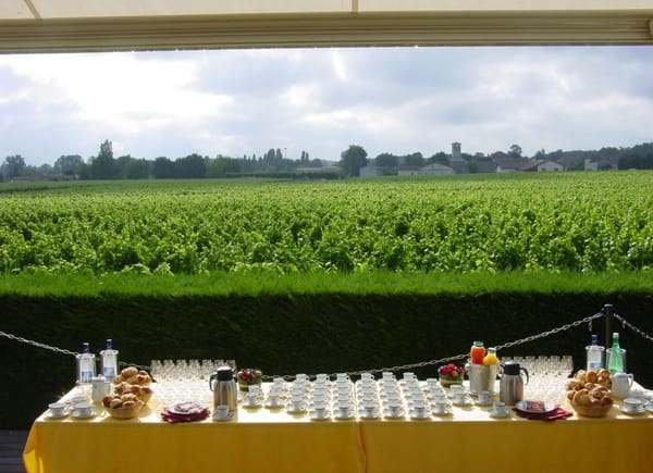 Château Bertinerie, Château / Domaine, CUBNEZAIS, France